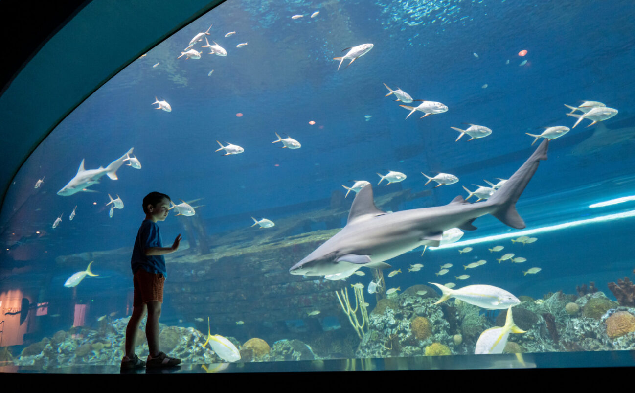 Economic Development