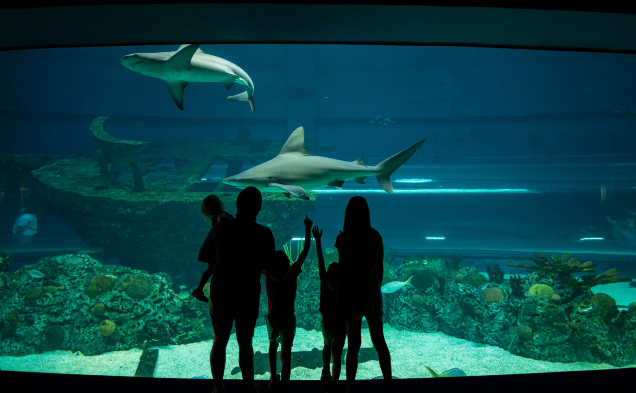 Economic Development