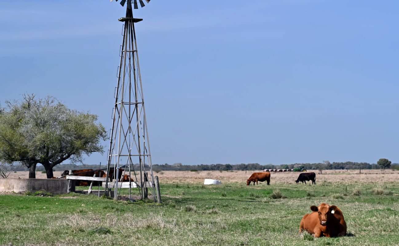 Applied Translational Wildlife Research