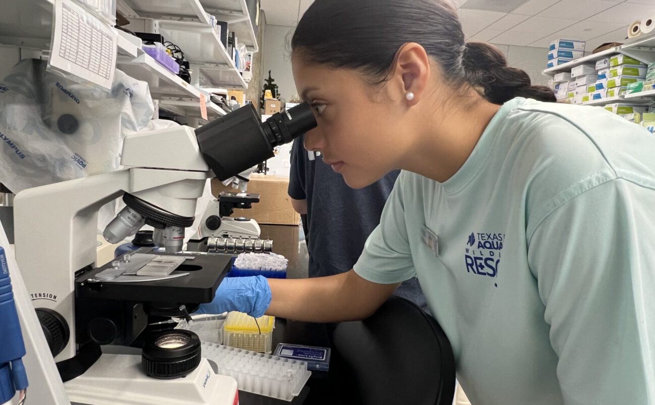 Workforce Development