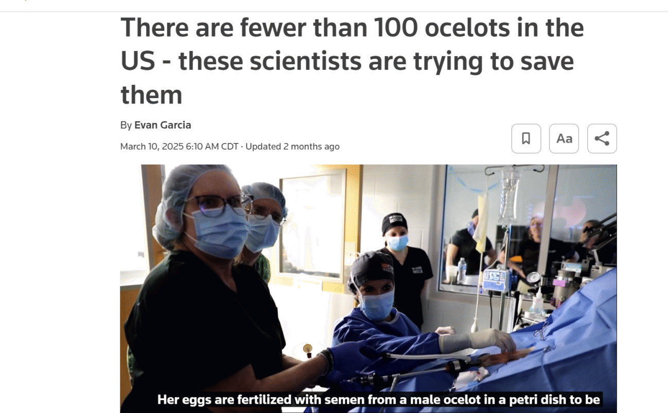 Real Stories. Real Impact.