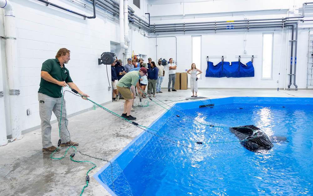 Image of TAMU-CC and the Oceans and Wildlife Institute Team Up to Train TPWD Crews on Dolphin Disentanglement