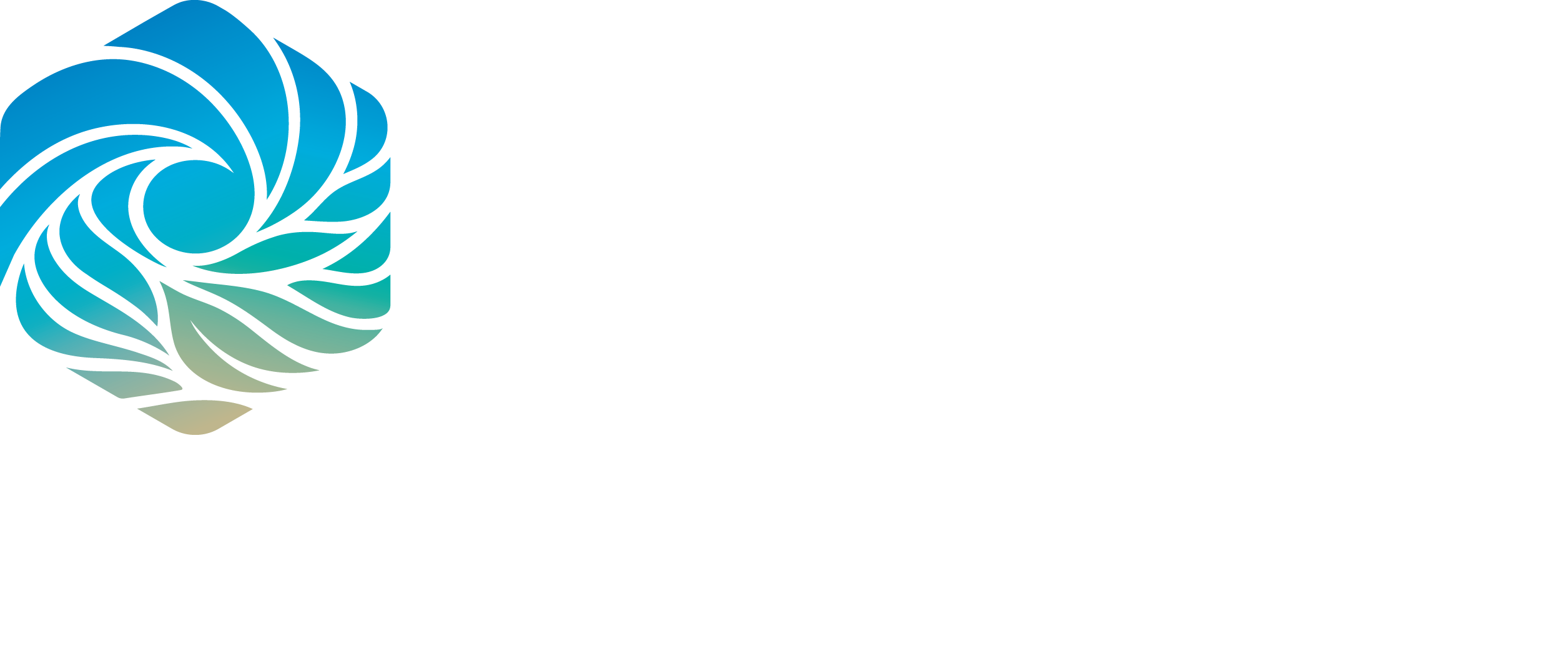 Footer logo